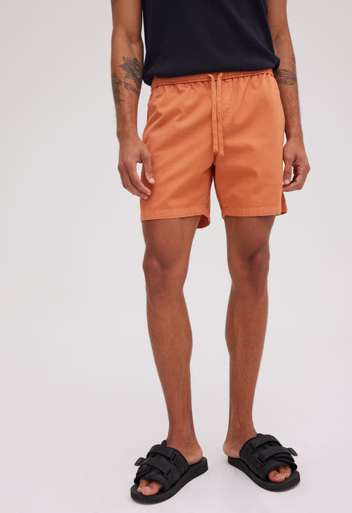Jac + Jack AU Shorts Slater Cotton Short - Tang